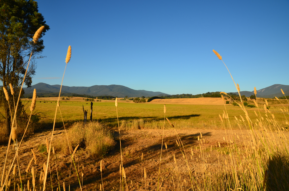 Yarra Valley Vic.